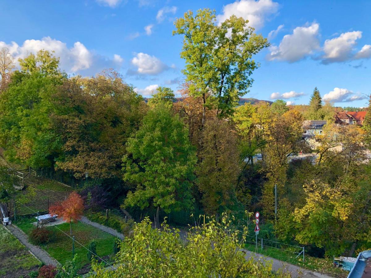 Ferienwohnung Im Gruenen Auf Idyllisch Gelegenen Gutshof Und Doch So Zentral Вальдсхут-Тинген Экстерьер фото